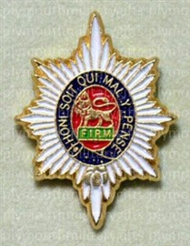 Worcestershire Regiment Lapel Pin